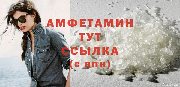 сатива Новокубанск