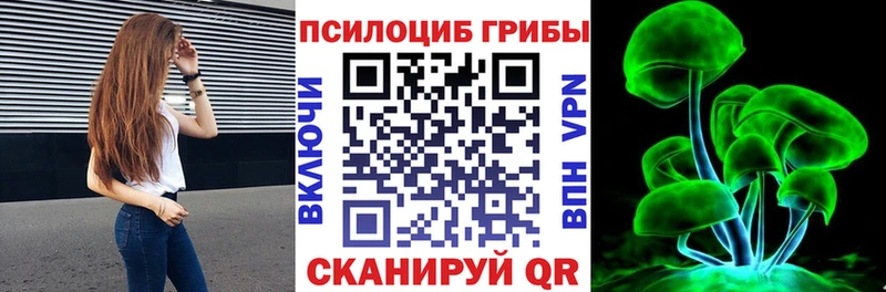 Галлюциногенные грибы Psilocybe  купить наркотик  Юрюзань 